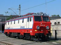 Kliknij aby wejść do galerii