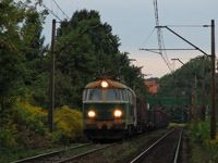 Kliknij aby powiększyć