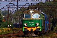 Kliknij aby powiększyć