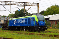 Kliknij aby wejść do galerii