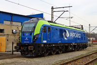 Kliknij aby wejść do galerii