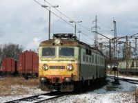 Kliknij aby wejść do galerii