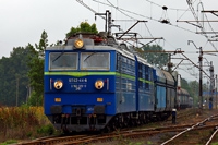 Kliknij aby wej�� do galerii