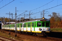 Kliknij aby wejść do galerii