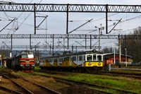 Kliknij aby powiększyć