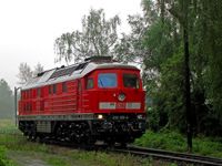 Kliknij aby powiększyć