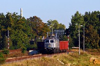 Kliknij aby powiększyć