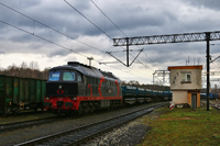 Kliknij aby powiększyć