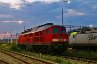 Kliknij aby powiększyć