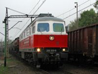 Kliknij aby powiększyć