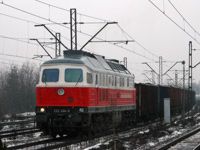 Kliknij aby powiększyć