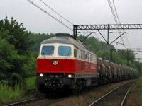 Kliknij aby powiększyć