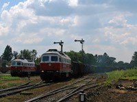 Kliknij aby powiększyć