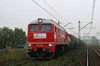 Kliknij aby powiększyć