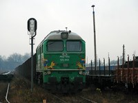 Kliknij aby powiększyć