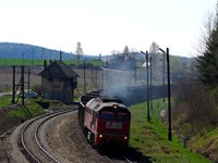 Kliknij aby powiększyć