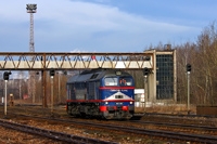 Kliknij aby powiększyć