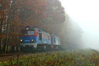 Kliknij aby powiększyć