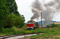 Kliknij aby powiększyć