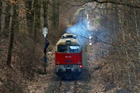 Kliknij aby powiększyć