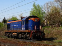 Kliknij aby powiększyć