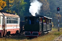 Kliknij aby powiększyć
