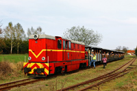 Kliknij aby powiększyć
