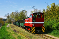 Kliknij aby powiększyć