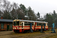 Kliknij aby wejść do galerii